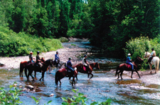 Canada-Quebec-Appalachian Inn to Inn Ride in Quebec